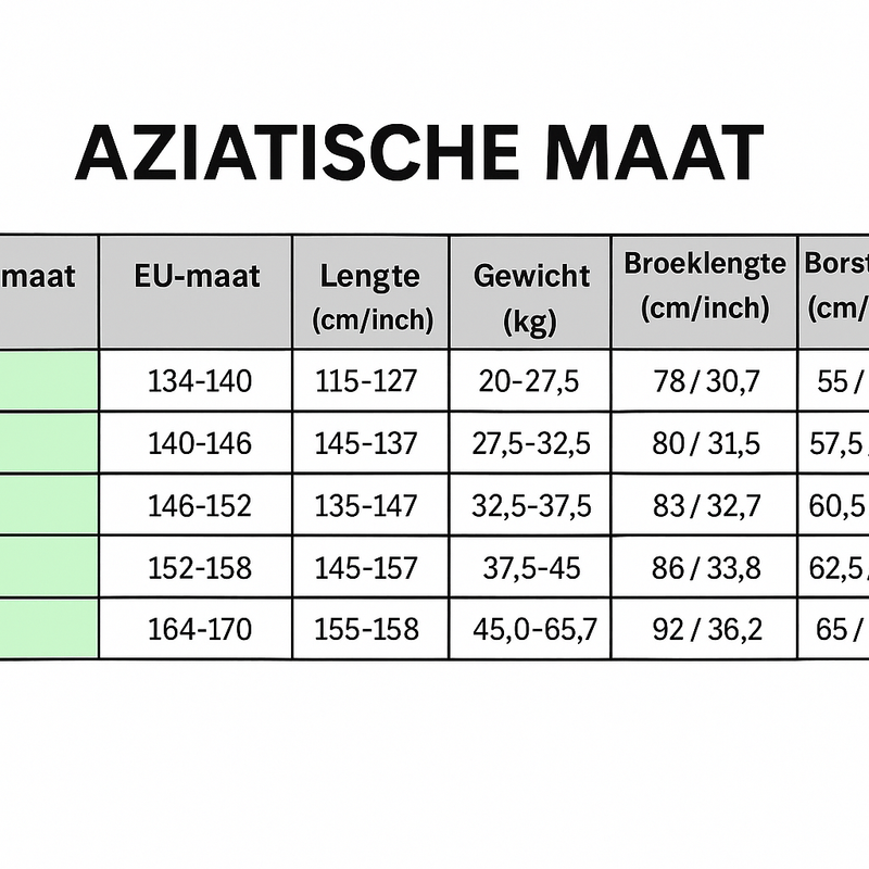 Ajax Training Suit Black 2025/2026